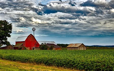 Humane Society Forms Agriculture Council in Illinois
