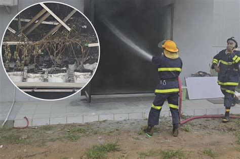 Cannabis Warehouse Fire Causes Over 3 Million Baht in Damages - Phuket