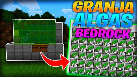 GRANJA De ALGAS 0 TICKS Para MINECRAFT BEDROCK YouTube