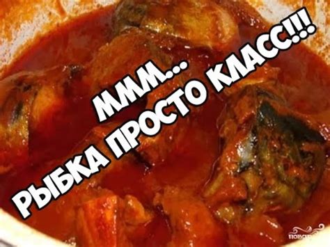 Скумбрия в томатном соусе - YouTube