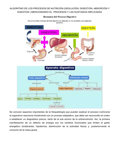 ALGORITMO DE LOS PROCESOS DE NUTRICIÓN