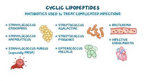 Antibiotics Cyclic Lipopeptides Nursing Pharmacology Osmosis Video