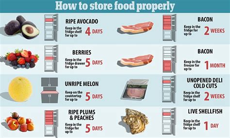 How To Store Food Properly So It Doesn T Go Off Daily Mail Online