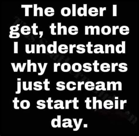 The Older I Get The More I Understand Why Roosters Just Scream To