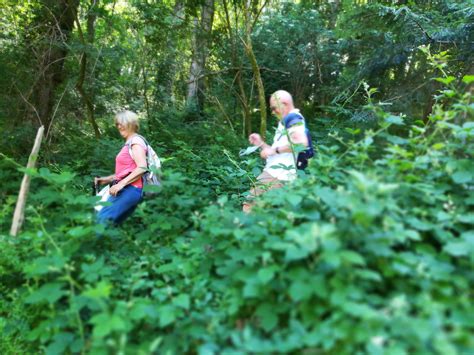 Randonnées autour de Saint Pierre des Nids Outdooractive