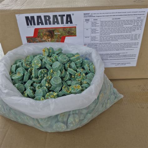 marata borong rodenticide racun tikus kg  kotak kilang gudang rat