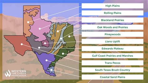 Texas Fire Season: In-Depth Guide | WFCA