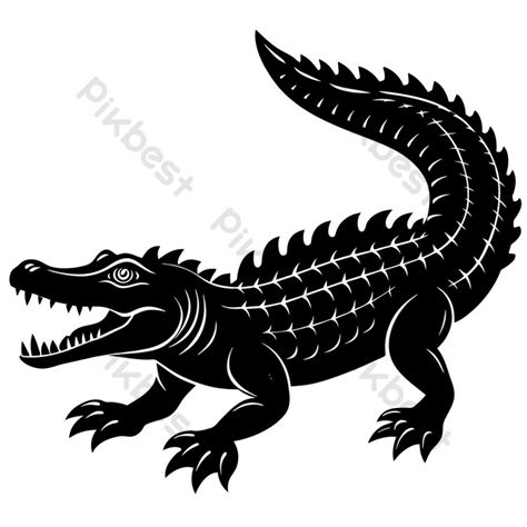 Crocodile - Black And White Cartoon Illustration Vector PNG Images | EPS Free Download - Pikbest