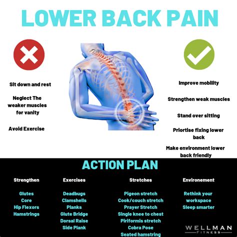 How To Prevent Lower Back Pain Newbrave