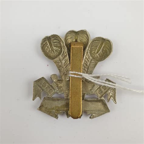 Prince Of Wales Leinster Regiment Bi Metal Cap Badge Sally Antiques