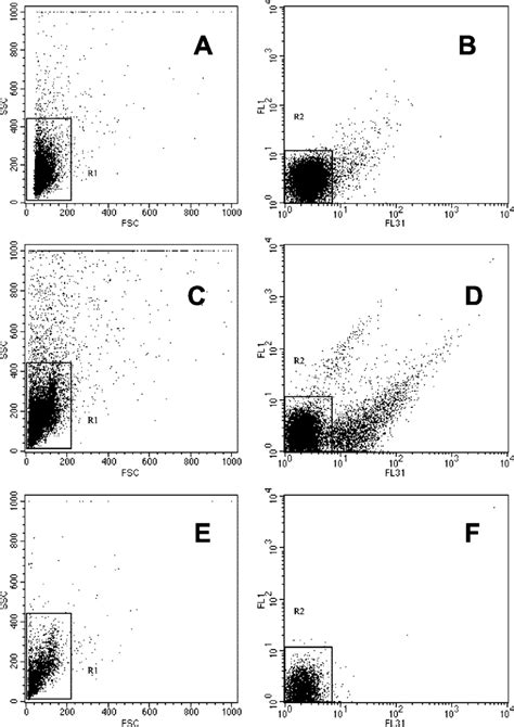 Fsc Versus Ssc And Fl1 515 To 545 Nm Versus Fl31 633 To 677 Nm [fl3