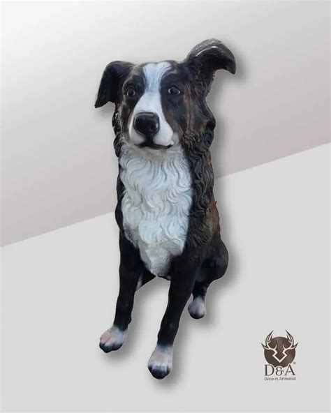 Animaux Statue D Un Border Collie Assis R Aliste En R Sine D Co Et