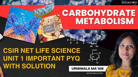 Carbohydrate Metabolism Csir Net Life Science Unit Important Pyqs