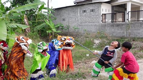 MENEGANGKAN DETIK2 UMPAN DICAPLOK BARONGAN CAN MACAN VICHO DAN SOLA