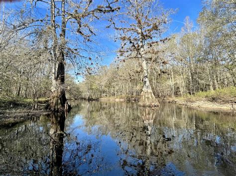 Withlacoochee River Is A Gorgeous Florida Kayaking Trail