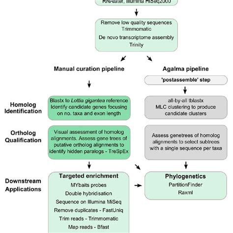 Analysis Pipelines Outline Of The Two Pipelines Used To Detect Download Scientific Diagram