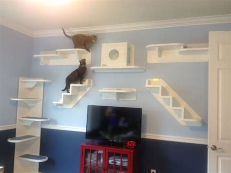 cat wall climbing system blog | ♥FABULOUS Pet LUXURY♥ | Pinterest