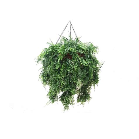 Artificial Plants Basket Maiden Hair Vine Cm Uv Stabilized