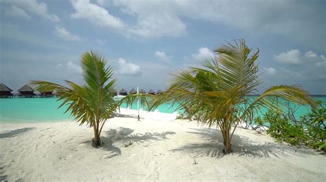 Maldives Island Beach 1624007 Stock Video at Vecteezy