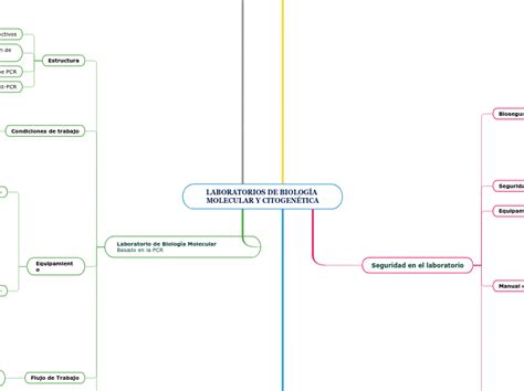 Laboratorios De BiologÍa Molecular Y Citog Mind Map