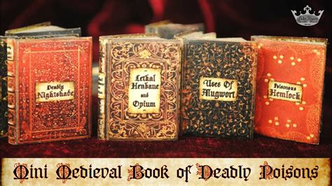 📕💀 Mini Medieval Book Of Deadly Poisons ☠️📖 Diy Miniature Books With