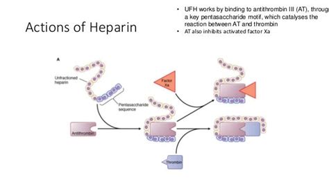 Heparin And Dialysis Hhd And Pd