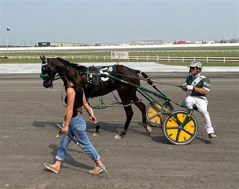 Fraser Downs Opens Meet With Three Year Old Stakes Harnesslink