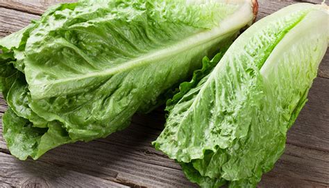 5 Beauty Benefits Of Eating Lettuce Lifeberrys