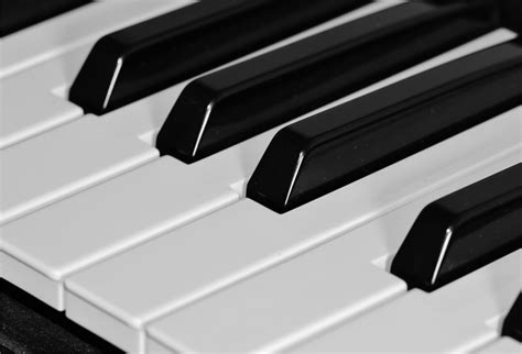 Imparare A Suonare Il Pianoforte Da Autodidatta Suona Il Pianoforte