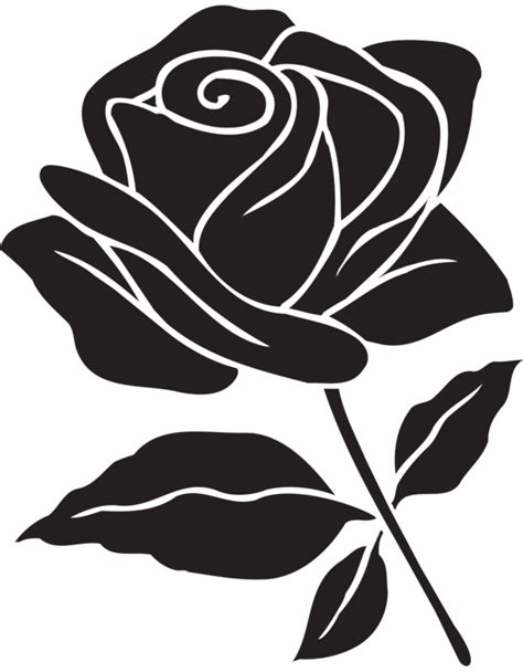 A Rose Is Shown With The Measurements