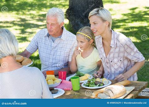 Familia Feliz Que Tiene Comida Campestre En El Parque Imagen De Archivo