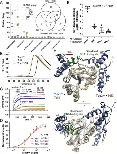 Cognate And Orphan Immunity Proteins Protect Against T Ss Mediated