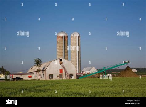 Dairy Farm Stock Photos And Dairy Farm Stock Images Alamy