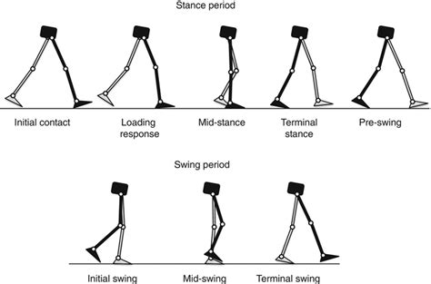 Fundamentals Of Quantitative Gait Analysis Musculoskeletal Key