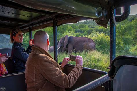 Big 5 Safari Inquiries Hluhluwe Game Reserve