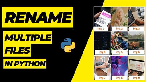 Rename Multiple File Python Script YouTube