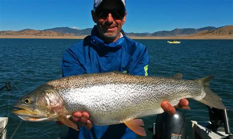 Colorado Fishing Report