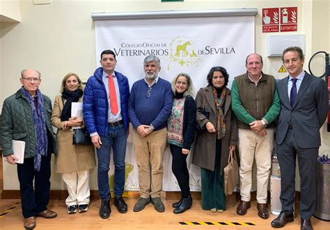 El Colegio De Veterinarios De Sevilla Y El Ayuntamiento De Sevilla Nos