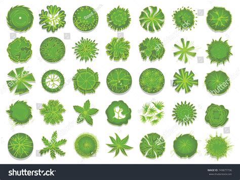 Various Green Trees Bushes Shrubs Top Stock Vector Royalty Free 749877736