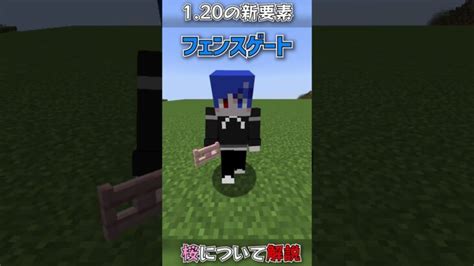 120の新要素「サクラ」について解説します！！！！！【マイクラ解説】【サクラ】 Minecraft Summary マイクラ動画