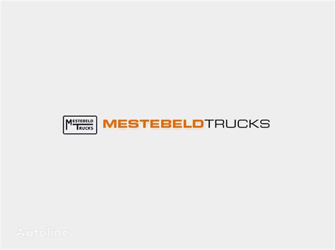 Trittbrett für DAF XF LKW kaufen Niederlande Lemelerveld LG28428