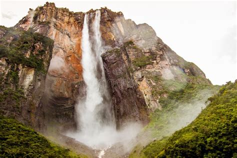 Angel Falls La Plus Haute Cascade Du Monde Venezuela Image Stock