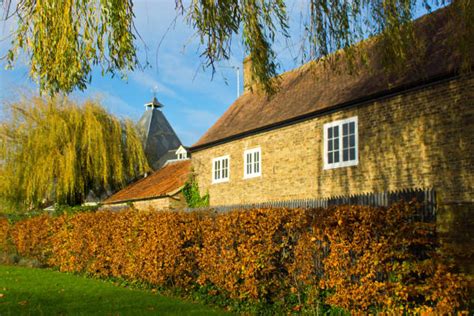 10 Great Tew Foto Foto Stok Potret And Gambar Bebas Royalti Istock