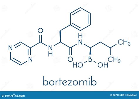 Bortezomib Cancer Drug Proteasome Inhibitor Molecule Skeletal Formula