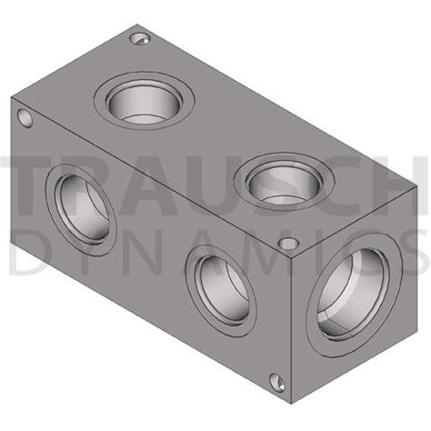 24 Sae Trausch Dynamics