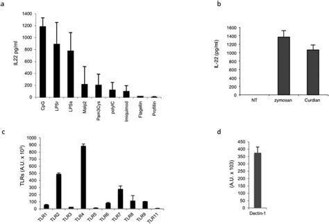 PRRs Activation Leads To IL 22 Production In BMDCs A BMDCs 1 5 10