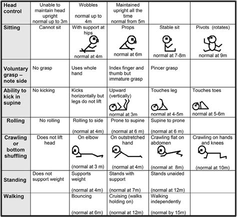 HINE scoring module illustrating the motor developmental milestones ...