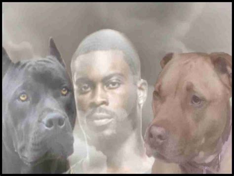 15 years ago Michael Vick's pit bulls killed the humane movement ...