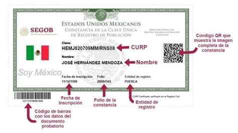 Tu Curp Tiene Un Error Esto Son Los Requisitos Que Necesitas Para