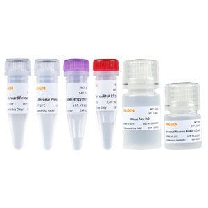 Reagenz F R Cdna Synthese Reagenzkit F R Cdna Synthese Alle